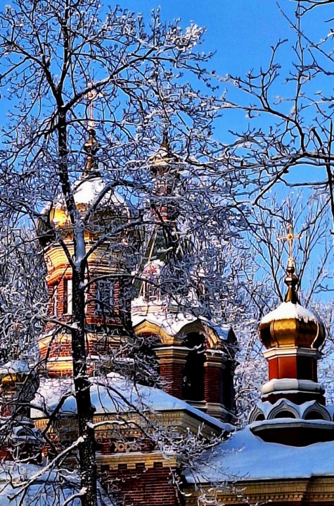 �������� �������� ��� �����������.