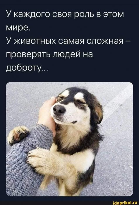 ���������.